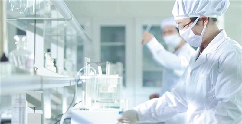 定制软件：企业发展的引擎